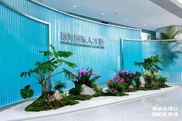 全要素聚集，全鏈條發展！前海人才、法治建設進入新“航道”